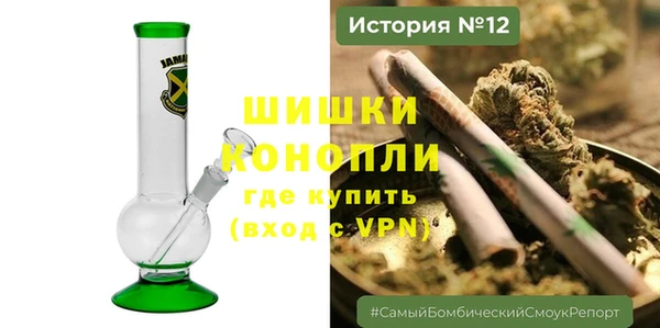 прущие грибы Абинск