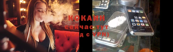 прущие грибы Абинск