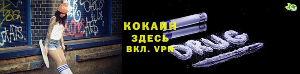 дмт Пестово