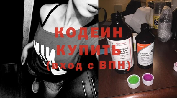дмт Пестово