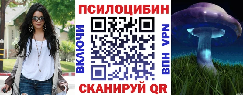 купить наркотик  Касимов  Псилоцибиновые грибы прущие грибы 