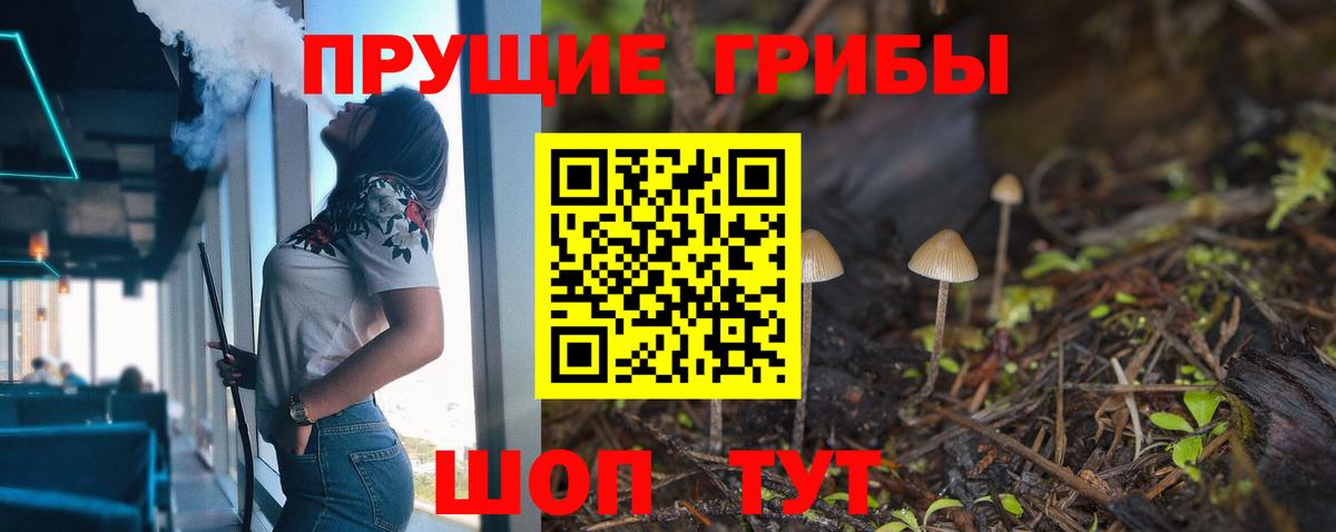 Псилоцибиновые грибы Psilocybe  Вход с VPN  Касимов 