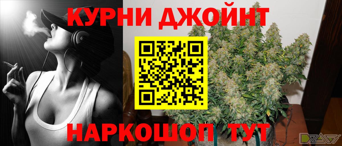 Бошки Шишки планчик Касимов